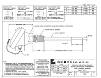 Thumbnail of document Data Sheet - 10632 Heavy Duty RTD